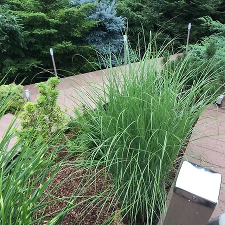 公寓 1 Festungsblick *