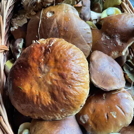 1 Festungsblick Appartamento *